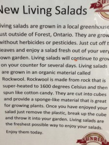 Info on the salads and the growing medium. 