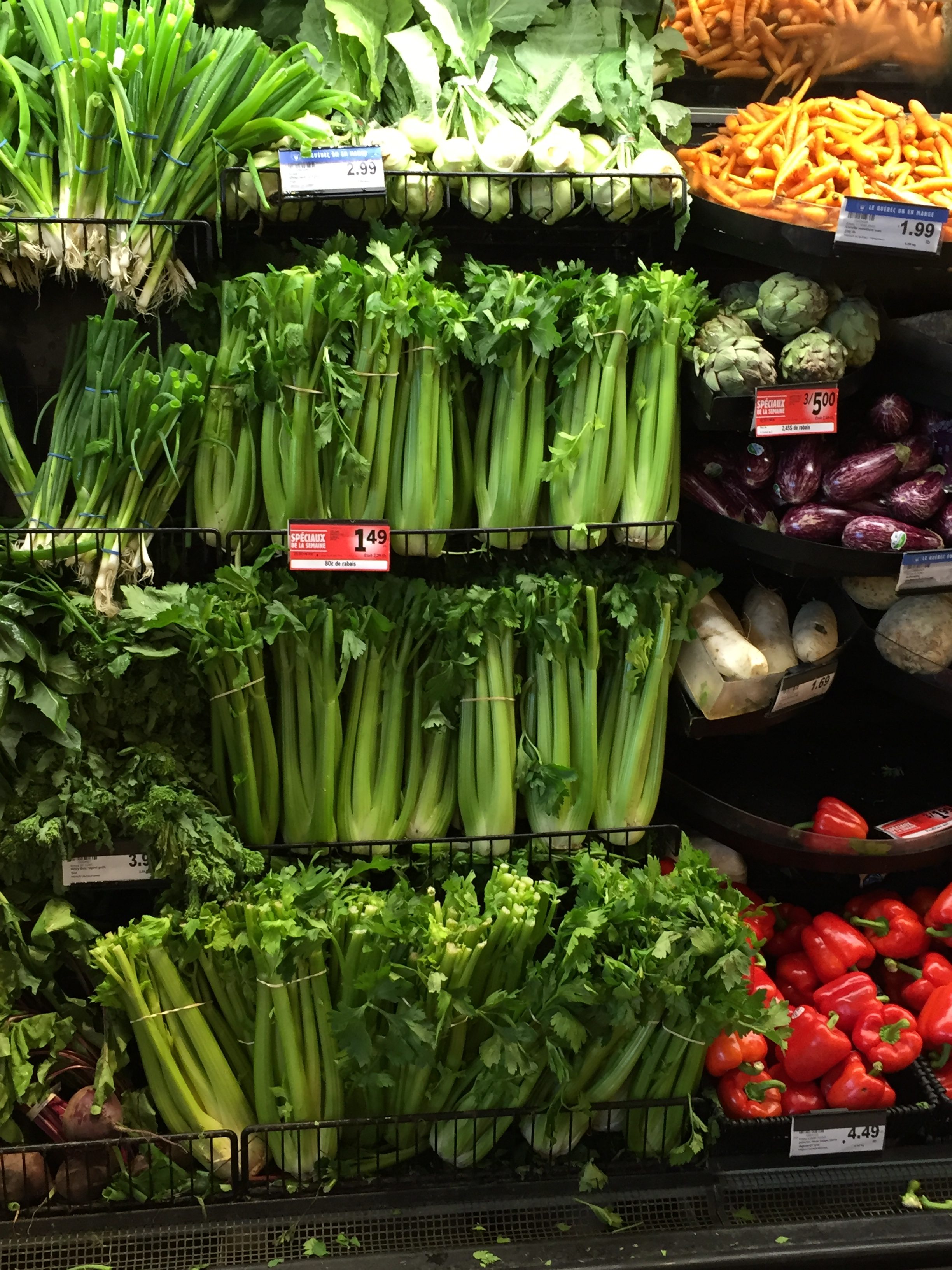 Stand-up Celery