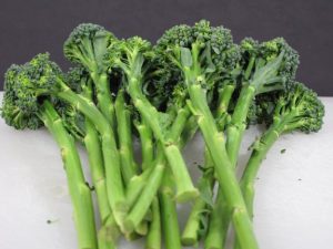 Stem Broccoli