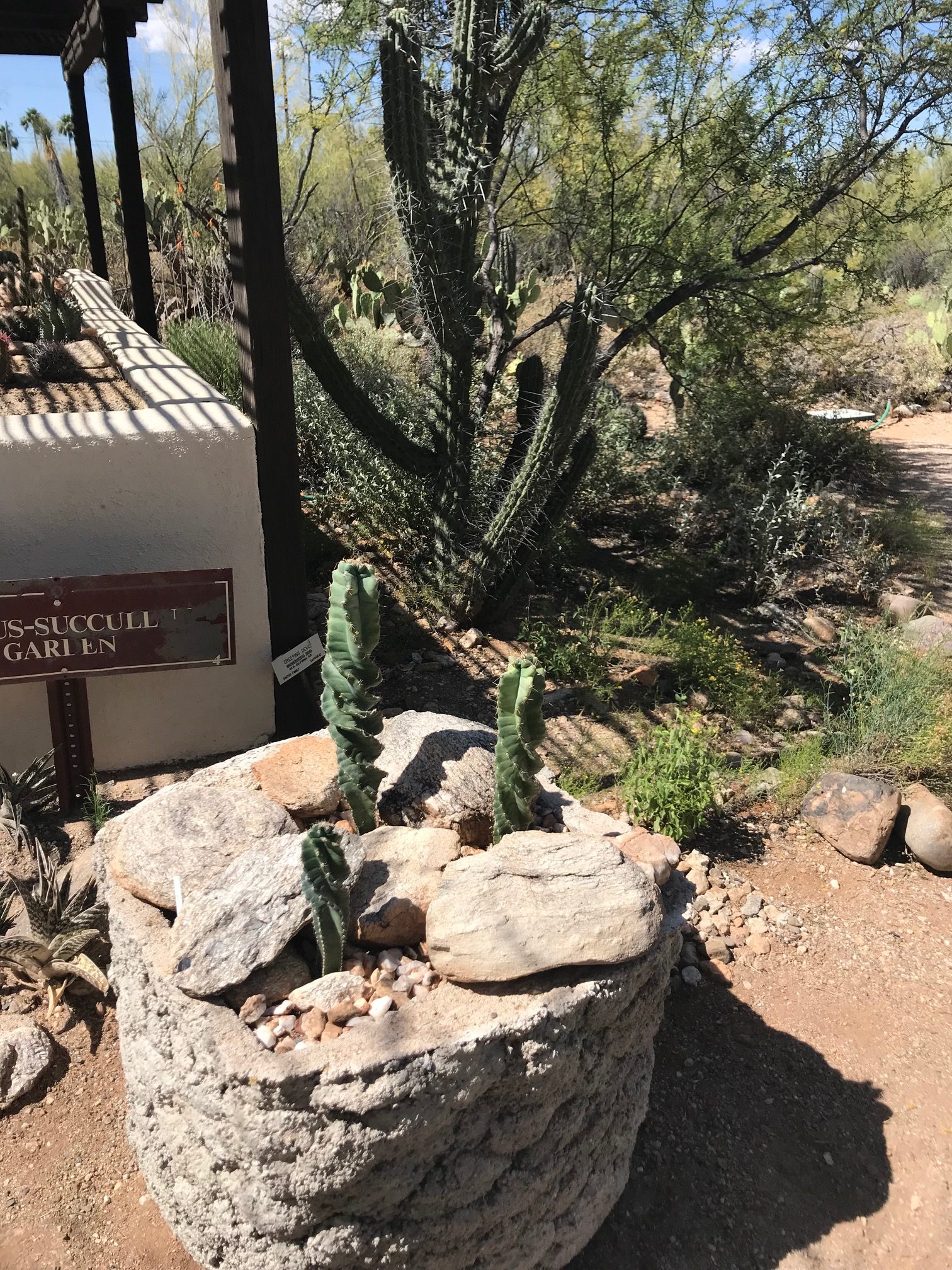 Tohono Chul, Desert Garden in Tucson