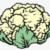988-9883313_cauliflower-broccoli-cabbage-clip-art-cauliflower